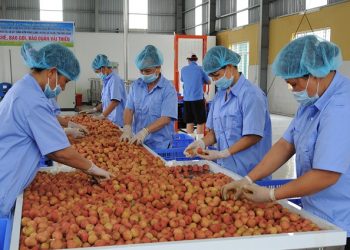 Hội thảo số về các tiêu chuẩn sản xuất EU dành cho sản phẩm nông lương