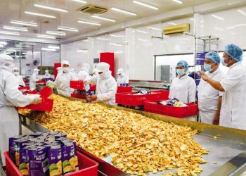 Trái cây Đồng bằng sông Cửu Long: Tìm giải pháp tiêu thụ ổn định