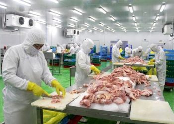 Gia cầm tăng giá vì thiếu nguồn cung