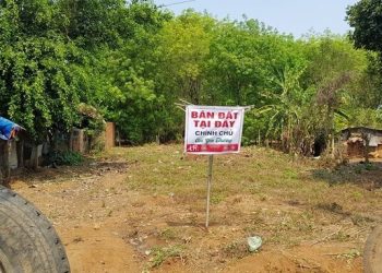 Sốt đất hạ nhiệt