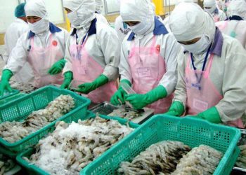 Xuất khẩu thủy sản dự báo khởi sắc từ việc Mỹ và EU kiểm soát được dịch