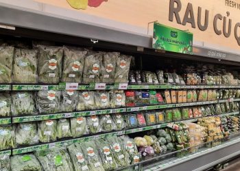 Thị trường Bất động sản Doanh nghiệp Tài chính  TP. Hồ Chí Minh: Cung ứng cải thiện, nhưng vẫn còn thiếu hàng hóa cục bộ tại một số nơi