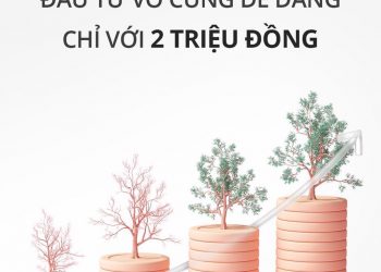 Đầu tư vô cùng dễ dàng cùng Timo chỉ với 2 triệu đồng