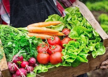 Sắp diễn ra hàng loạt sự kiện xúc tiến thương mại