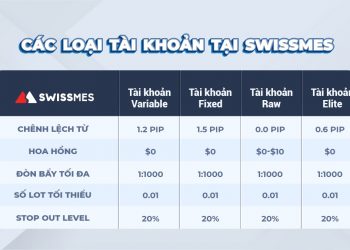 Hành trang kiến thức cần chuẩn bị trước khi vào thị trường tỉ đô toàn cầu