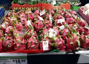 Sắc đỏ của thanh long Việt Nam được chào đón tại Australia