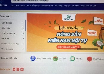 Nghệ An: Hợp tác thúc đẩy tiêu thụ nông sản trên Sàn thương mại điện tử VOSO.VN