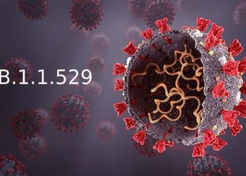 Bộ Y tế thông tin về các biện pháp phòng chống biến chủng mới Omicron