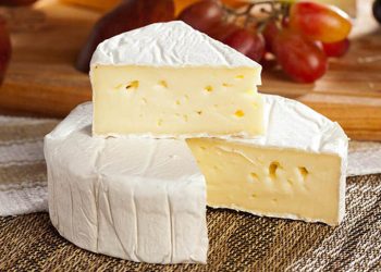 Cách bảo quản phô mai tươi chuẩn nhất