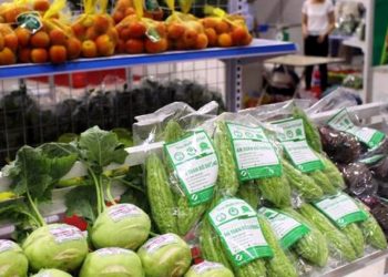 Rau quả chế biến của Việt Nam còn nhiều tiềm năng tăng trưởng xuất khẩu