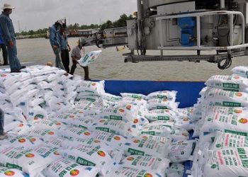 Giá nhiều loại phân bón tại miền Tây Nam bộ giảm nhẹ