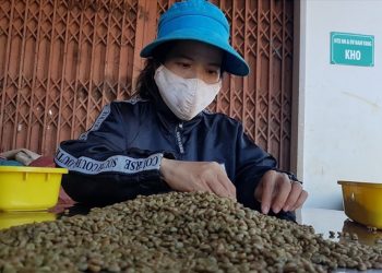 Xuất khẩu càphê Việt Nam hướng tới mục tiêu 6 tỉ USD