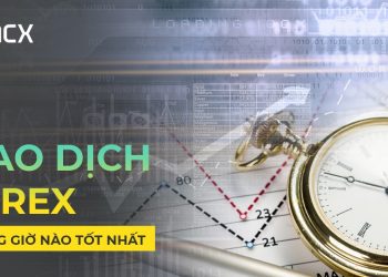 Sàn ACX – Các Phiên Giao Dịch Forex Theo Giờ Việt Nam Chuẩn Nhất