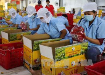 Đề xuất 4 giải pháp hỗ trợ xuất khẩu nông sản qua đường biển