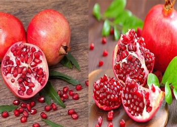 8 loại thực phẩm giảm cân giá rẻ nhưng vô cùng hiệu quả