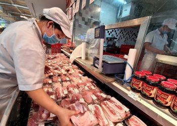 Giá lợn hơi dừng trạng thái “rơi tự do”, nhưng khó tăng mạnh trong Tết