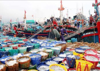 Dành 102 tỷ đồng hỗ trợ kinh phí thực hiện chính sách phát triển thủy sản