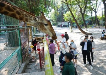 Doanh thu du lịch TP Hồ Chí Minh đạt 3.100 tỷ đồng dịp Tết