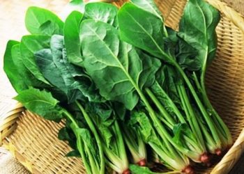 5 loại rau kích thích sản sinh collagen giúp đẩy lùi lão hóa