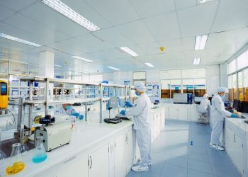 Cho F1 đi làm: Giải bài toán nguồn nhân lực cho doanh nghiệp