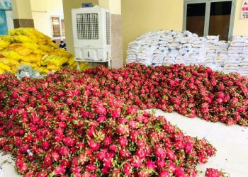 Cơ cấu lại để xuất khẩu nông sản bền vững: Chất lượng là then chốt