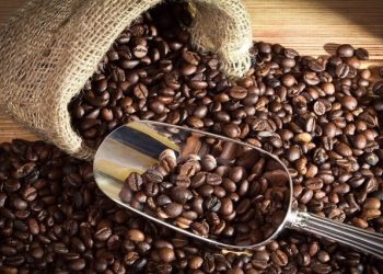 Xuất khẩu cà phê tăng cả lượng lẫn giá trị