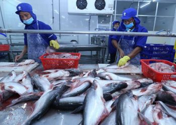 Xuất khẩu thủy sản tháng 2/2022 tăng 62,5%