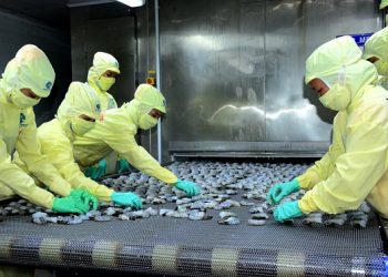 Cà Mau tập trung nâng cao sức cạnh tranh cho doanh nghiệp và hàng hóa xuất khẩu.