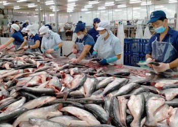 Doanh nghiệp cá tra Việt Nam tìm kiếm cơ hội ở Hội chợ thủy sản toàn cầu