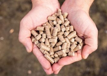 Giá thức ăn chăn nuôi tăng