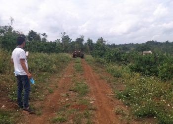 Cẩn trọng “sốt đất từ miệng cò”