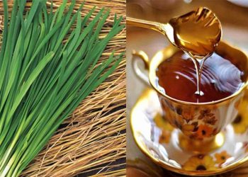 Trị cảm cúm cho trẻ bằng hẹ hấp mật ong