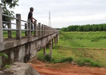 Sau cơn sốt, giới đầu tư ‘ôm đất’ thành ôm ‘bom’
