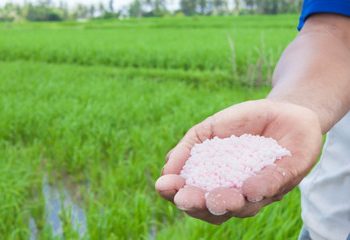 Ngành phân bón nhập siêu hơn 180 triệu USD trong 4 tháng đầu năm