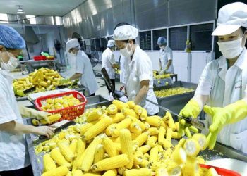 4 tháng đầu năm, xuất khẩu nông lâm thủy sản ước đạt 13,9 tỷ USD