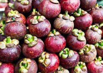 Giá măng cụt, vải thiều, chôm chôm giảm mạnh