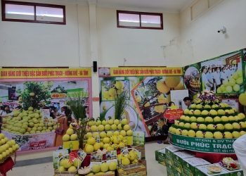 Mở rộng kênh phân phối tiêu thụ bưởi Phúc Trạch qua thương mại điện tử