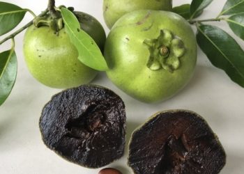 Tác dụng sức khỏe tuyệt vời của hồng đen