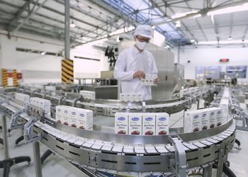 Việt Nam đầu tư ra nước ngoài đạt gần 534 triệu USD trong năm 2022