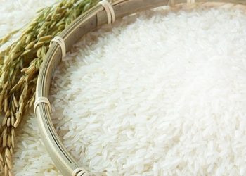 Dự báo giá gạo xuất khẩu năm 2023 sẽ vượt mức kỷ lục năm 2019