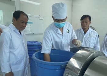 Dây chuyền sản xuất thuốc y học cổ truyền đầu tiên đạt chuẩn  GMP-WHO