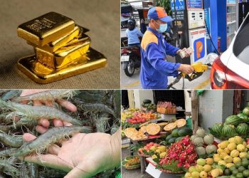 Tiêu dùng trong tuần (từ 8-14/5/2023): Giá nhiều mặt hàng hóa giảm mạnh