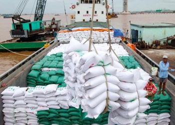 Xuất khẩu gạo trong năm 2023 được kỳ vọng đạt nhiều kỷ lục mới