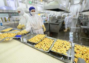 Giá tôm thương phẩm đã chạm đáy, xuất khẩu tôm kỳ  vọng phục hồi dần từ quý 3/2023