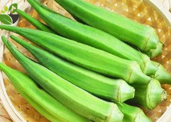 4 nhóm người tuyệt đối không nên ăn đậu bắp