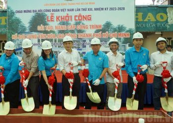 Cải tạo, nâng cấp công trình hồ bơi Cung Văn hóa Lao động TP.HCM