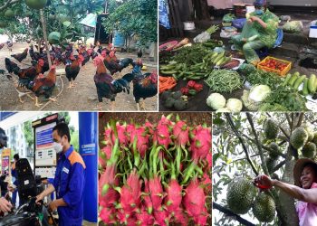 Tiêu dùng trong tuần (22-28/1/2024): Giáp Tết, giá nhiều hàng hóa tăng mạnh