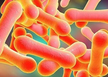 Bộ Y tế yêu cầu tăng cường công tác chẩn đoán, điều trị bệnh bạch hầu