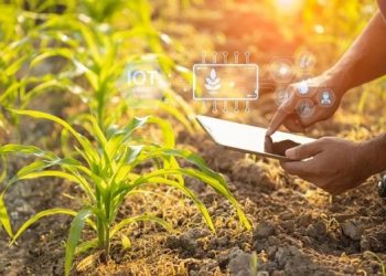 Hội Nghị Thượng Đỉnh Đổi Mới Sáng Tạo Việt Nam 2024 – Thực Phẩm và Hướng Đi Bền Vững