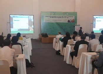 Ngành Cao su Việt Nam vẫn duy trì vị  thế quan trọng trong chuỗi cung ứng toàn cầu